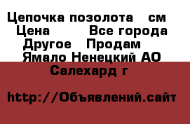 Цепочка позолота 50см › Цена ­ 50 - Все города Другое » Продам   . Ямало-Ненецкий АО,Салехард г.